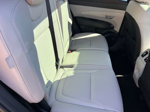 New 2025 Hyundai Tucson Limited image 15