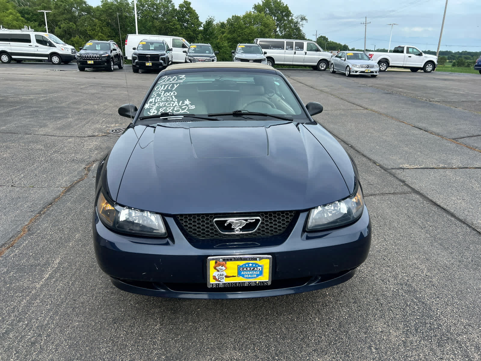 Used 2003 Ford Mustang Convertible RWD image 13