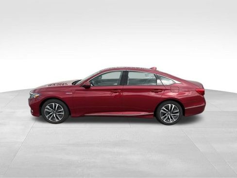 Used 2020 Honda Accord EX-L image 5
