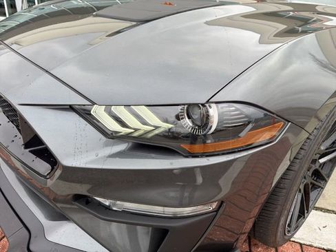 Used 2019 Ford Mustang GT Premium w/ Equipment Group 401A image 10