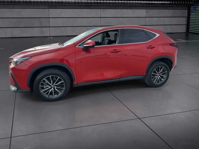 Certified 2024 Lexus NX 250 FWD w/ Cold Area Package image 5