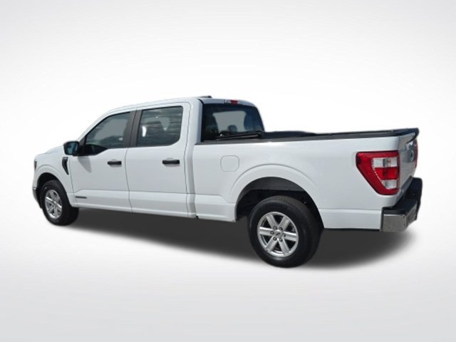Used 2023 Ford F150 XL w/ XL Chrome Appearance Package RWD image 6