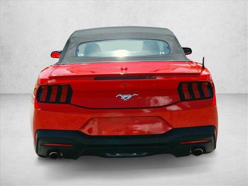 Used 2024 Ford Mustang Premium RWD image 6