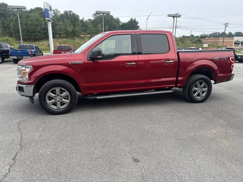 Used 2019 Ford F150 XLT w/ Equipment Group 302A Luxury AWD/4WD image 3