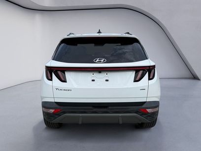 Used 2023 Hyundai Tucson Limited