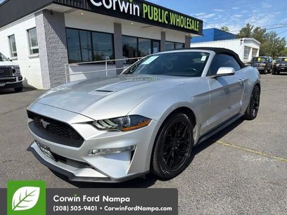 Used 2019 Ford Mustang Premium
