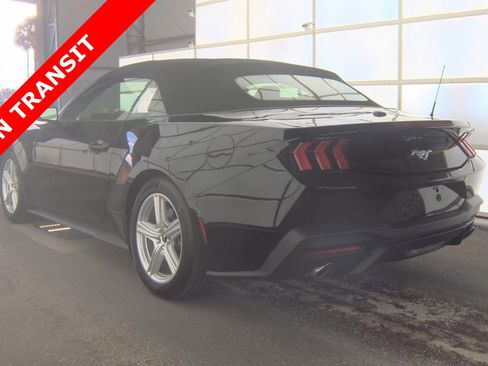 Used 2026 Ford Mustang Premium RWD image 4