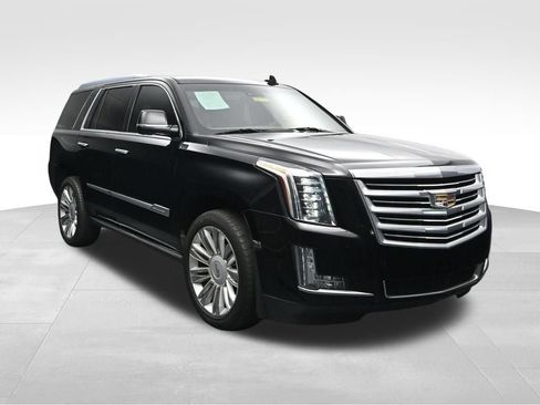 Used 2019 Cadillac Escalade Platinum AWD/4WD image 7