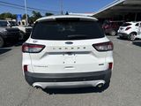 Used 2020 Ford Escape Titanium image 6