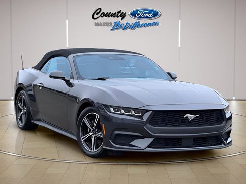 Used 2024 Ford Mustang Premium image 1
