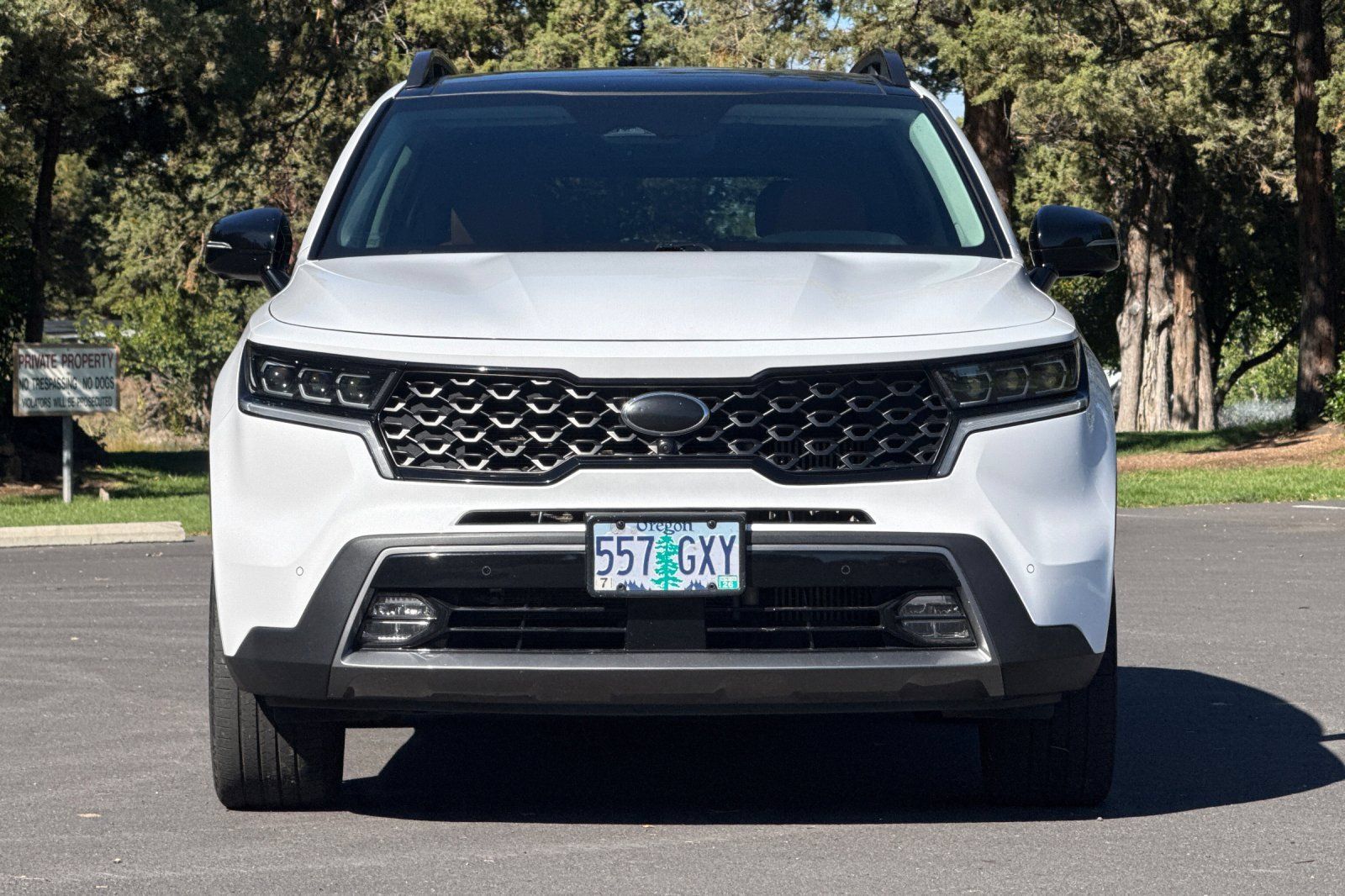 Used 2021 Kia Sorento SX Prestige AWD/4WD image 9