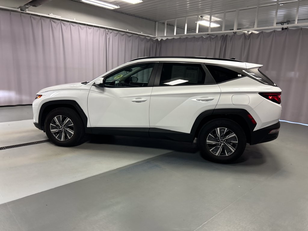 Used 2024 Hyundai Tucson Blue AWD/4WD image 4