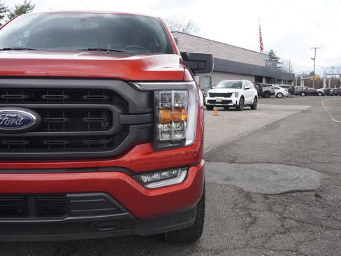 Used 2023 Ford F150 XLT w/ Equipment Group 302A High AWD/4WD image 13
