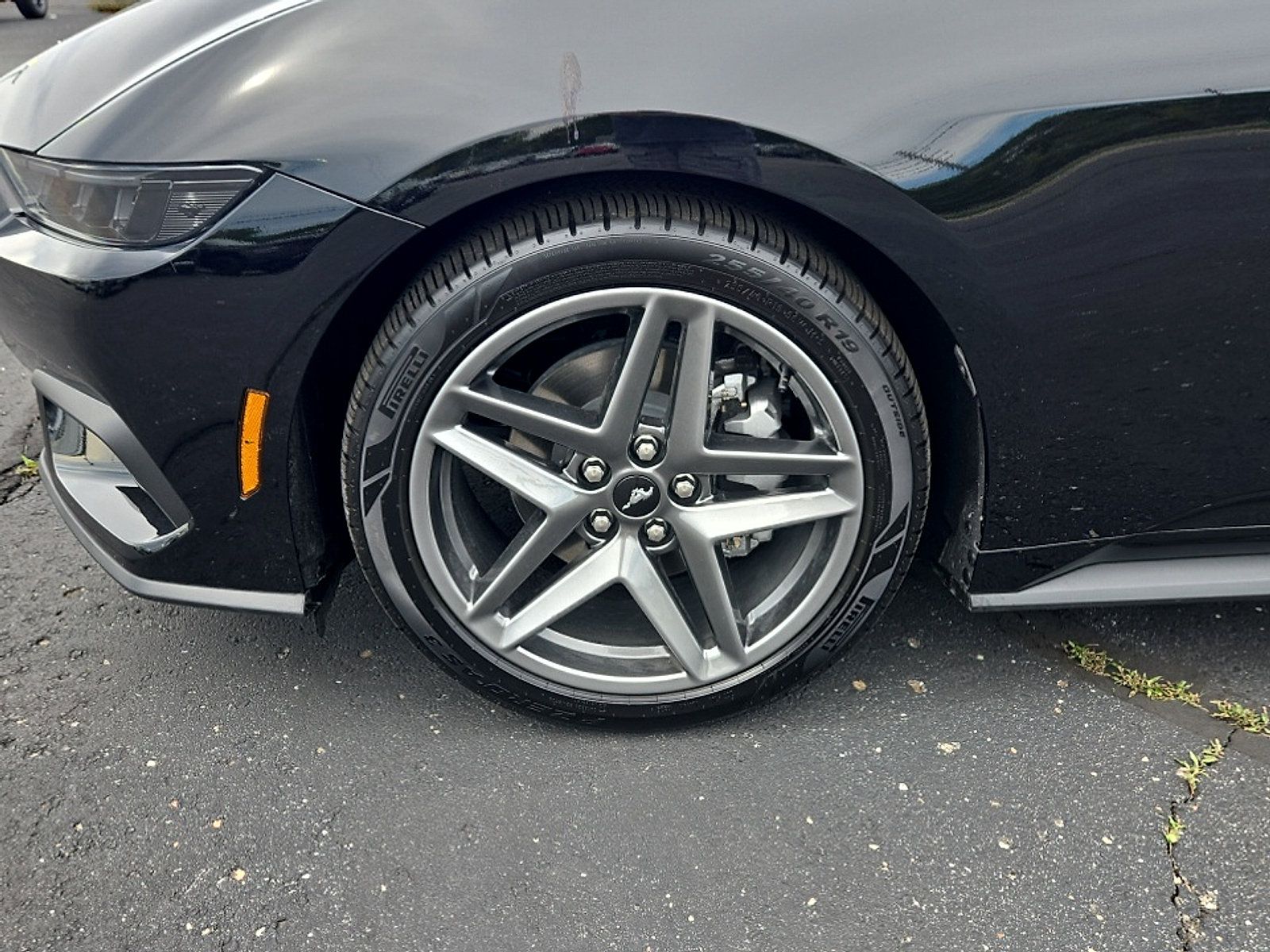 Used 2026 Ford Mustang Premium RWD image 23