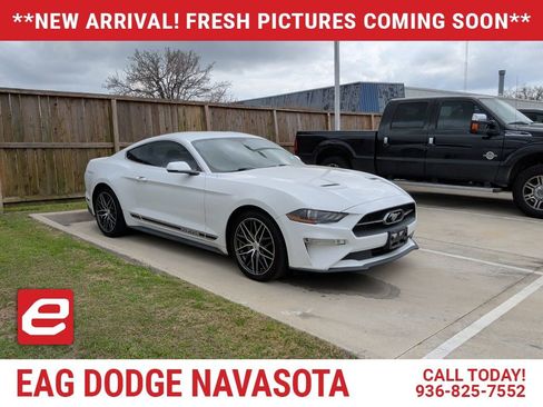 Used 2018 Ford Mustang Premium w/ Pony Package image 1