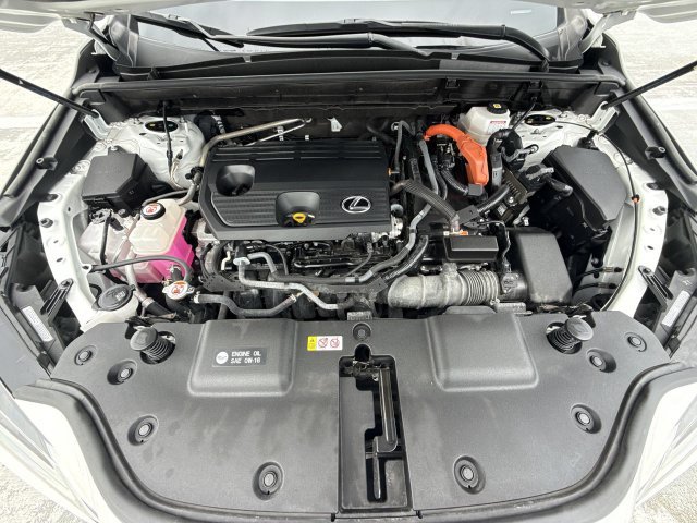 Certified 2024 Lexus NX 350h AWD w/ Cold Area Package image 27