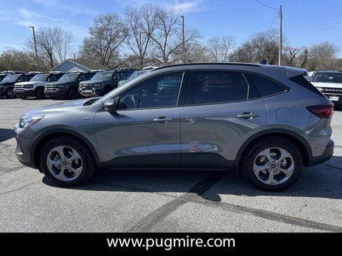 Used 2025 Ford Escape ST-Line w/ Tech Pack #1 image 4