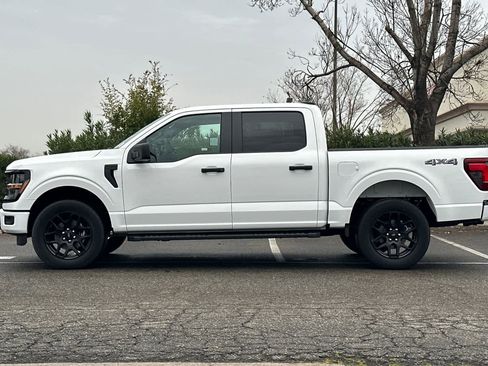 New 2025 Ford F150 STX w/ STX Black Appearance Package image 5