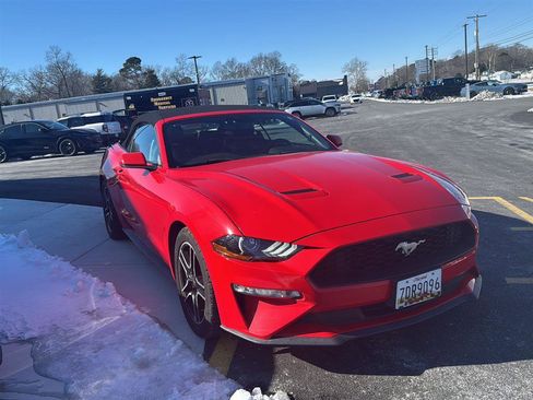 Used 2018 Ford Mustang Premium w/ Equipment Group 201A image 5