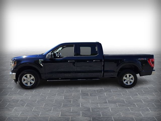 Used 2023 Ford F150 XLT w/ Equipment Group 301A Mid AWD/4WD image 4