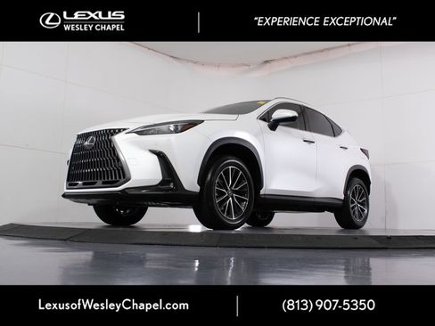 Used 2025 Lexus NX 250 FWD w/ Accessory Package (2T) image 8