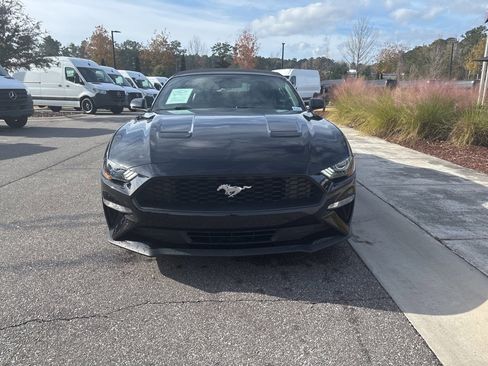 Used 2019 Ford Mustang Premium image 10