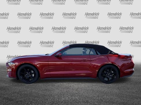 Used 2019 Ford Mustang Premium w/ Equipment Group 201A RWD image 7