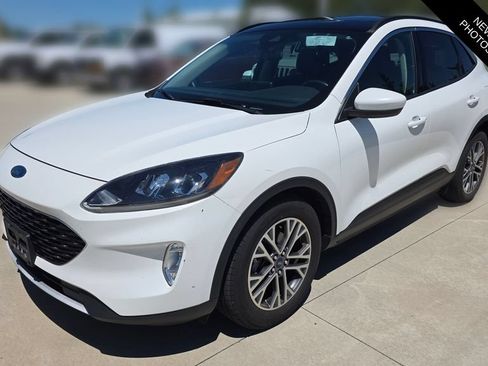 Used 2020 Ford Escape SEL FWD image 1