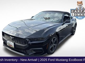 Used 2025 Ford Mustang Premium RWD video 1
