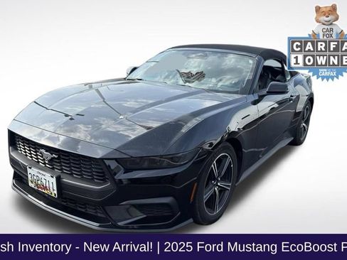 Used 2025 Ford Mustang Premium RWD image 1
