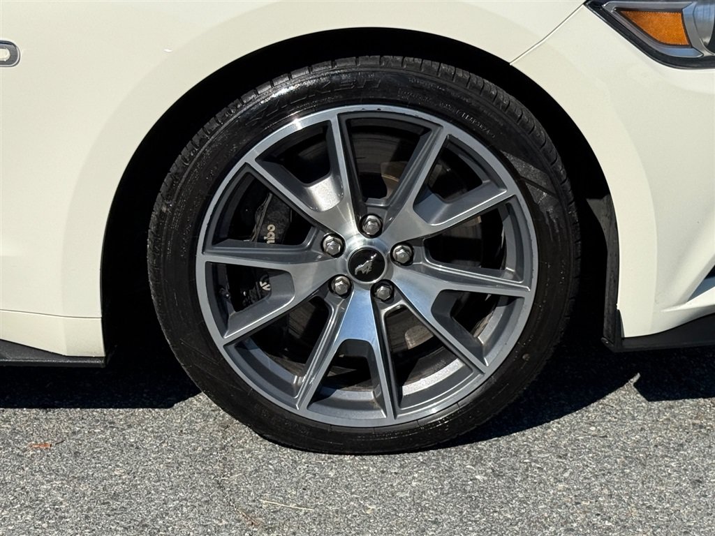 Used 2015 Ford Mustang 50 Years RWD image 32