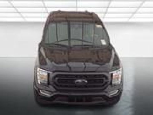 Used 2023 Ford F150 XLT w/ Equipment Group 302A High AWD/4WD image 13