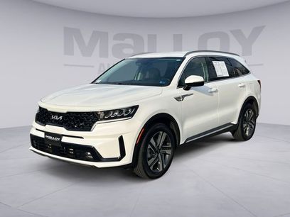 Used 2024 Kia Sorento EX