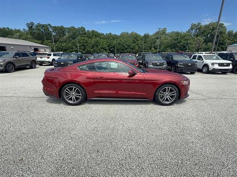 Used 2015 Ford Mustang Premium w/ Equipment Group 201A RWD image 8