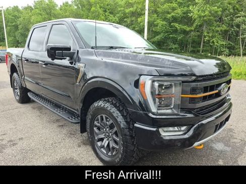 Used 2023 Ford F150 Tremor w/ Equipment Group 402A High AWD/4WD image 5