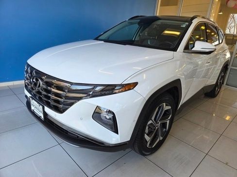 Used 2024 Hyundai Tucson Limited image 1