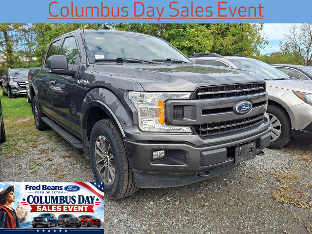 Used 2019 Ford F150 XLT w/ Equipment Group 302A Luxury AWD/4WD image 1