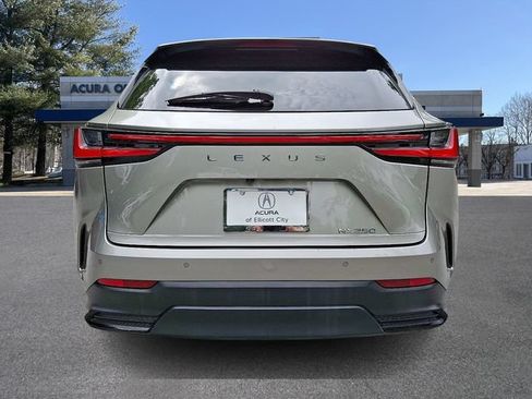 Used 2024 Lexus NX 250 FWD image 5