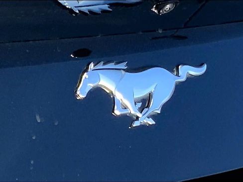 Used 2024 Ford Mustang Premium image 26