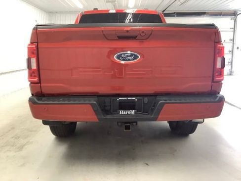 Used 2023 Ford F150 XLT w/ Equipment Group 302A High AWD/4WD image 5