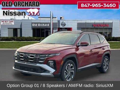 Used 2025 Hyundai Tucson Limited image 1