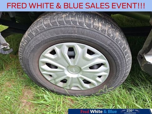 Certified 2025 Ford Transit 250 Low Roof w/ Exterior Upgrade Package RWD image 7
