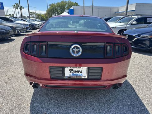 Used 2014 Ford Mustang Premium w/ Equipment Group 202A image 7