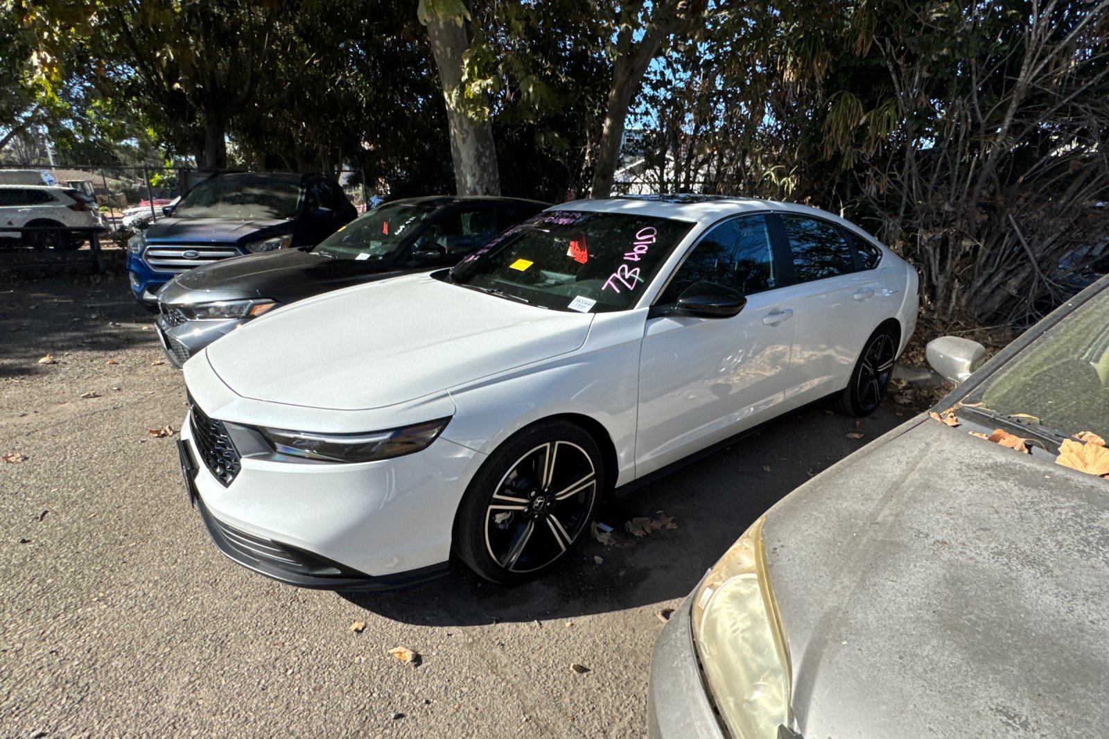 Used 2025 Honda Accord Sport image 6