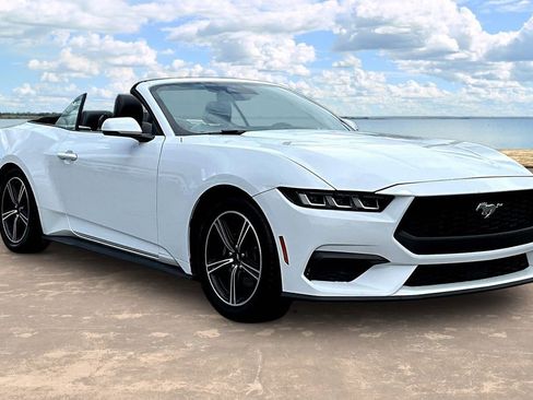 Used 2024 Ford Mustang Premium RWD image 3