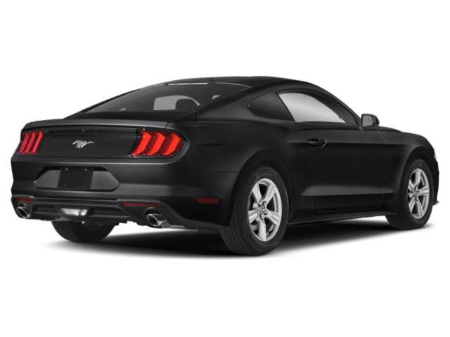 Used 2019 Ford Mustang Coupe RWD image 5