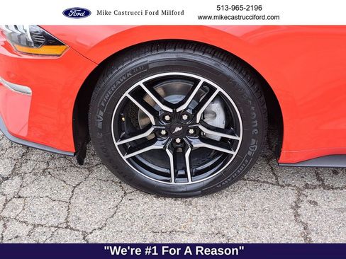 Used 2023 Ford Mustang Premium image 9