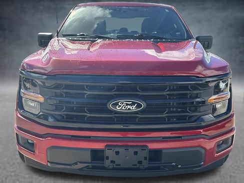 Used 2025 Ford F150 XLT w/ Equipment Group 301A Standard RWD image 8