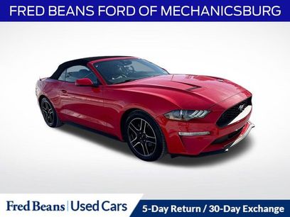 Certified 2023 Ford Mustang Premium w/ Equipment Group 201A