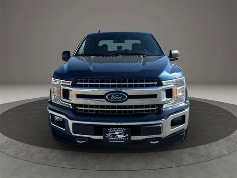 Used 2019 Ford F150 XLT w/ Equipment Group 302A Luxury image 8